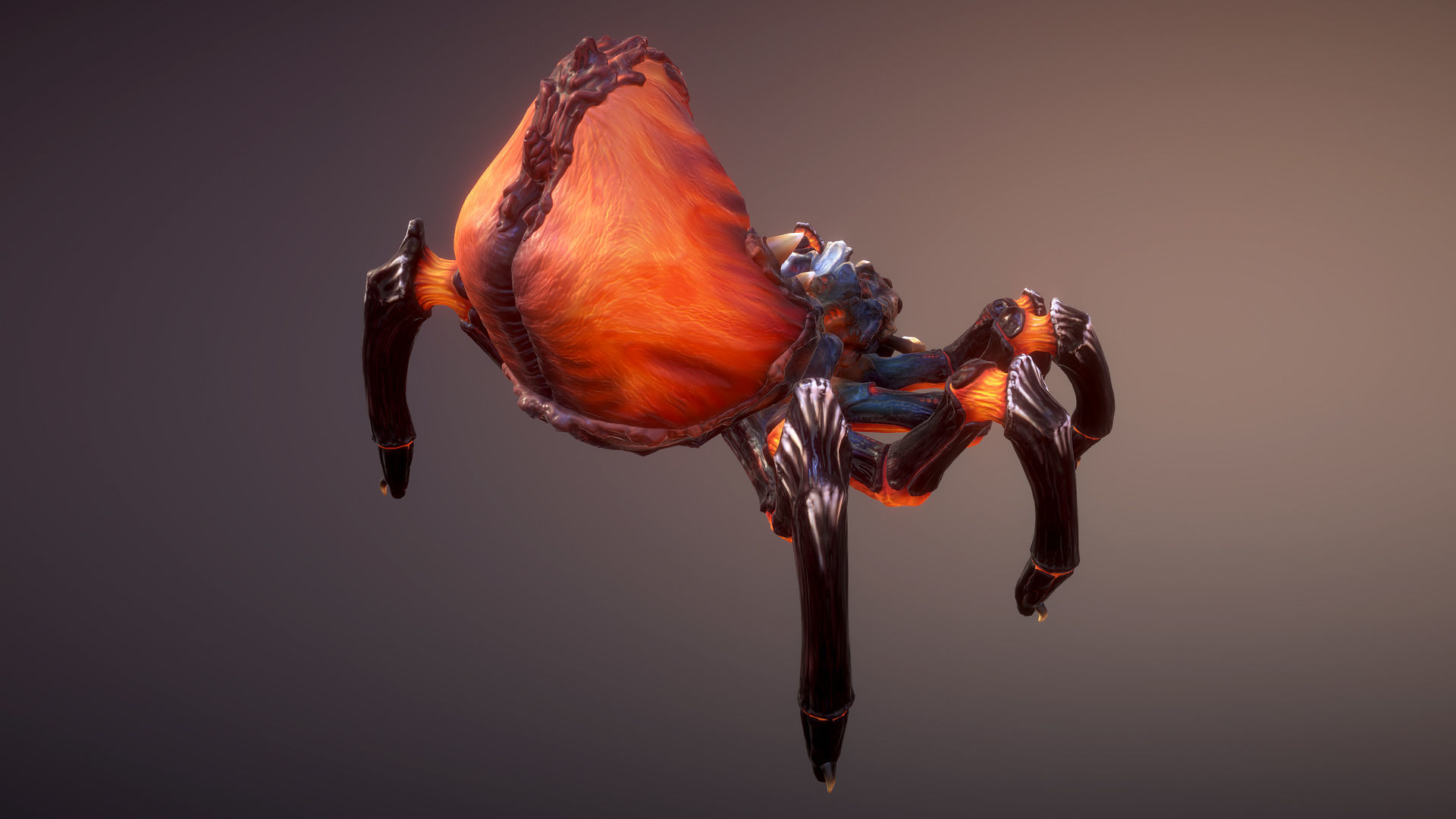 Spiders pack Low-poly 3D model_9