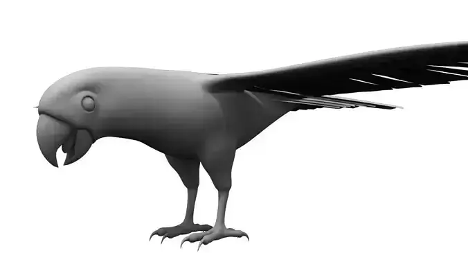 green parrot 3d model 3D model