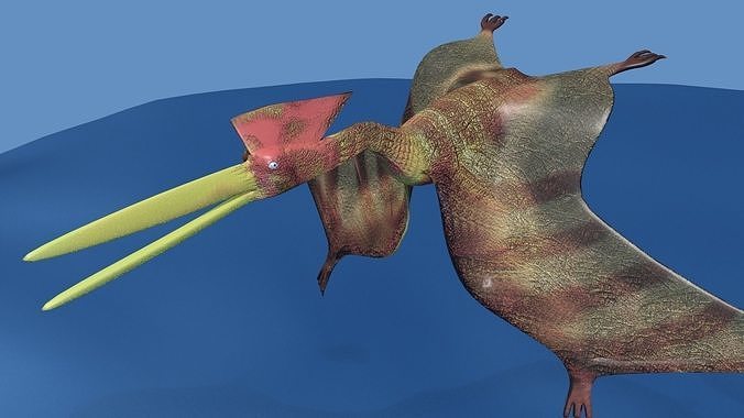 Hatzegopteryx  dinosaur 3D model