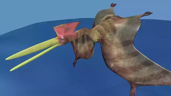 Hatzegopteryx  dinosaur 3D model