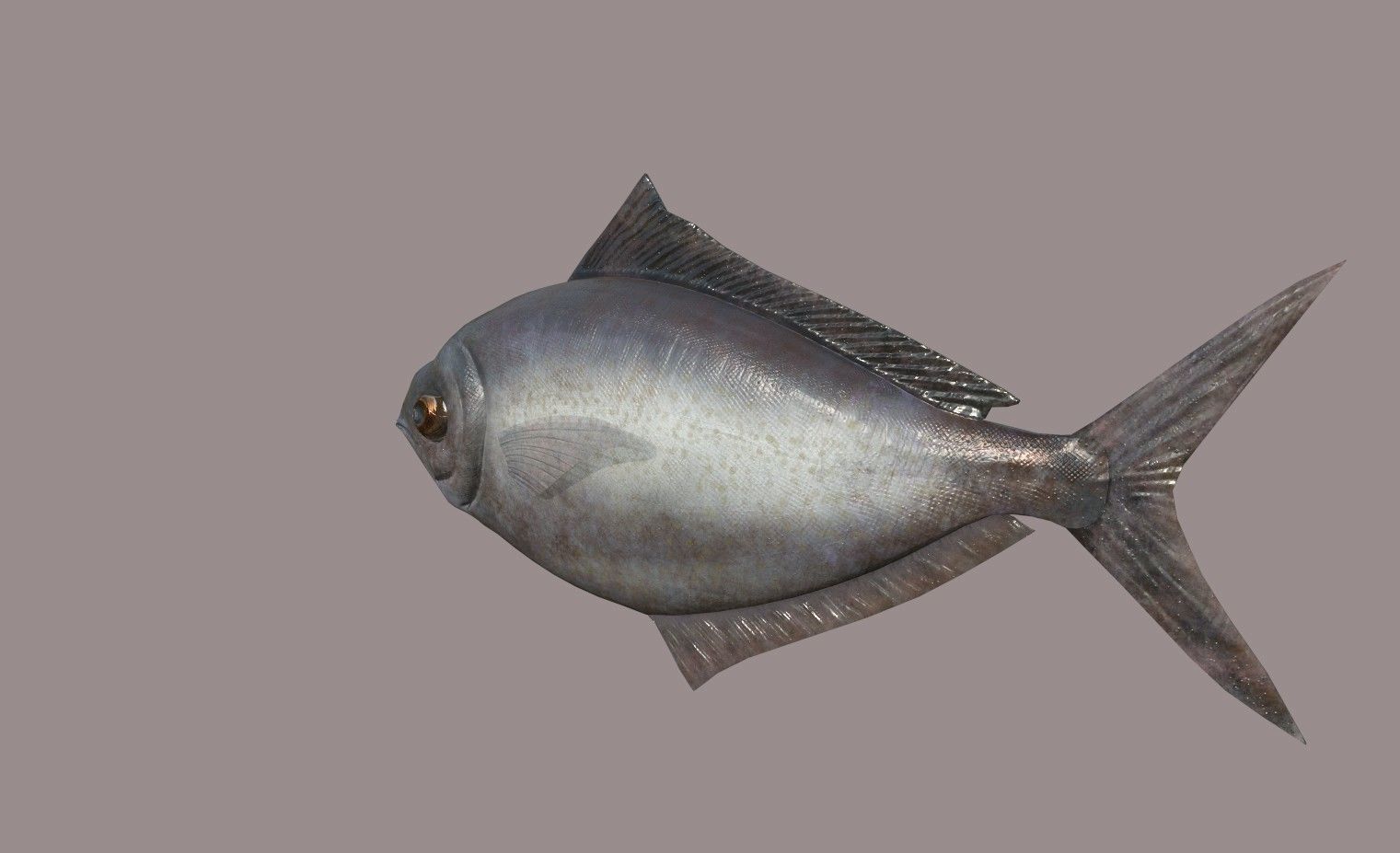 ButterFish fish Low-poly 3D model_3