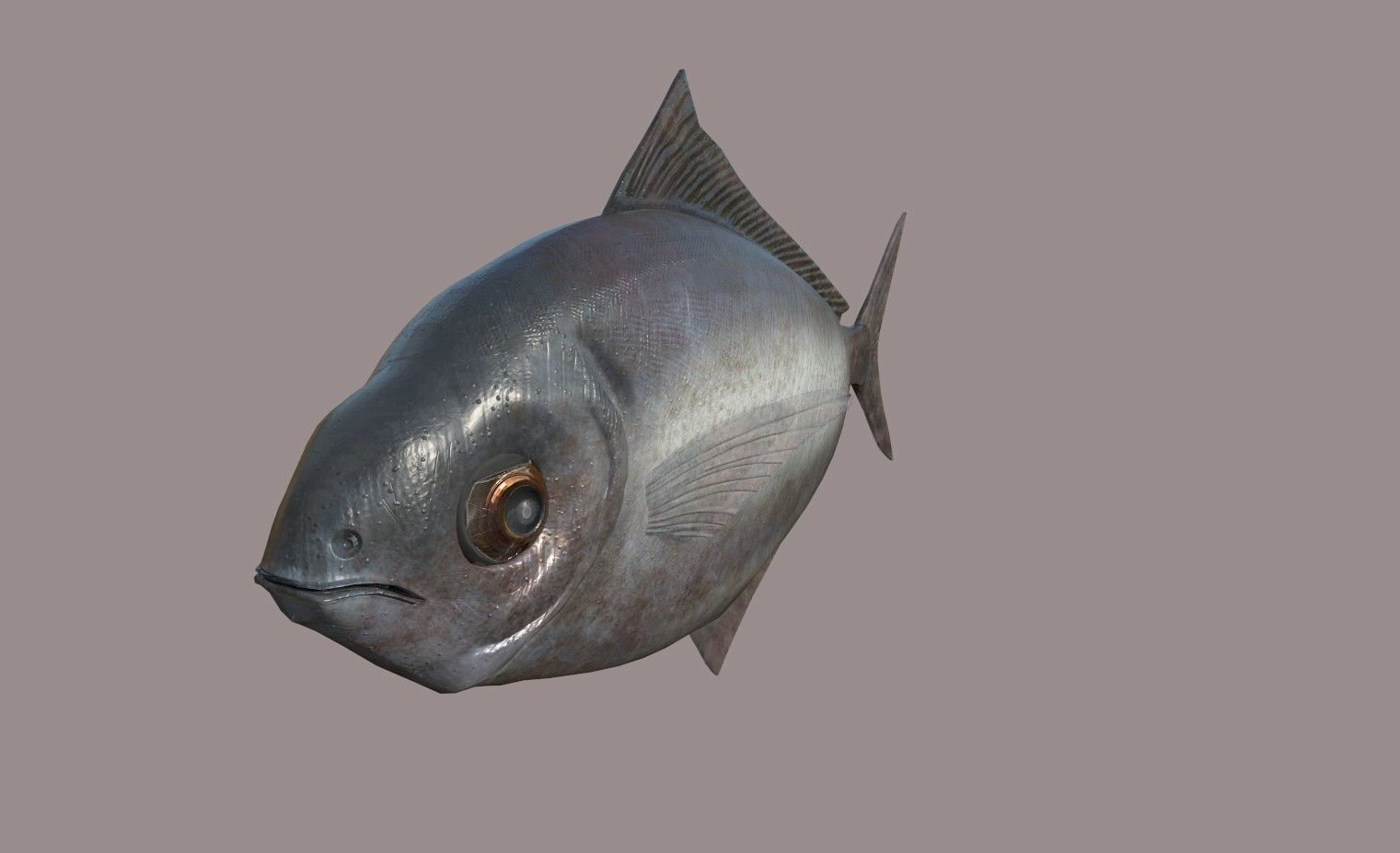 ButterFish fish Low-poly 3D model_1