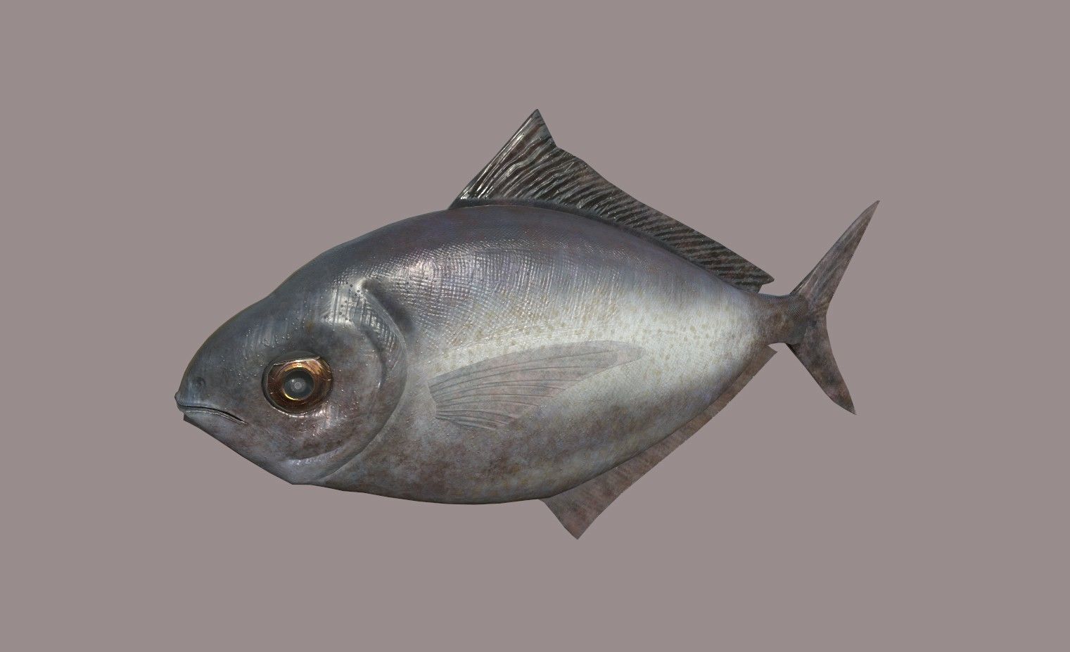 ButterFish fish Low-poly 3D model_2