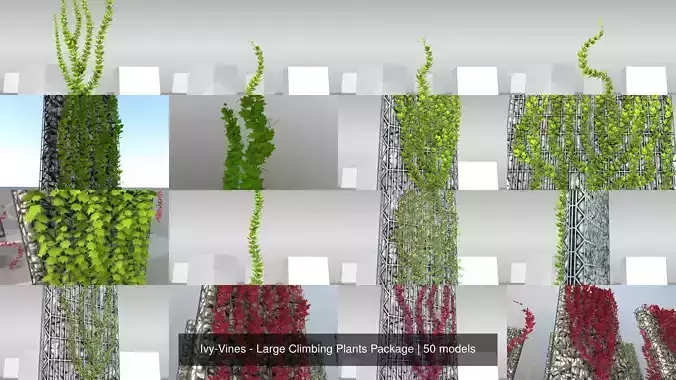 Ivy-Vines - Large Climbing Plants Package 3D Model Collection