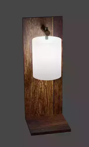 Modern Lamp and Bookshelf
