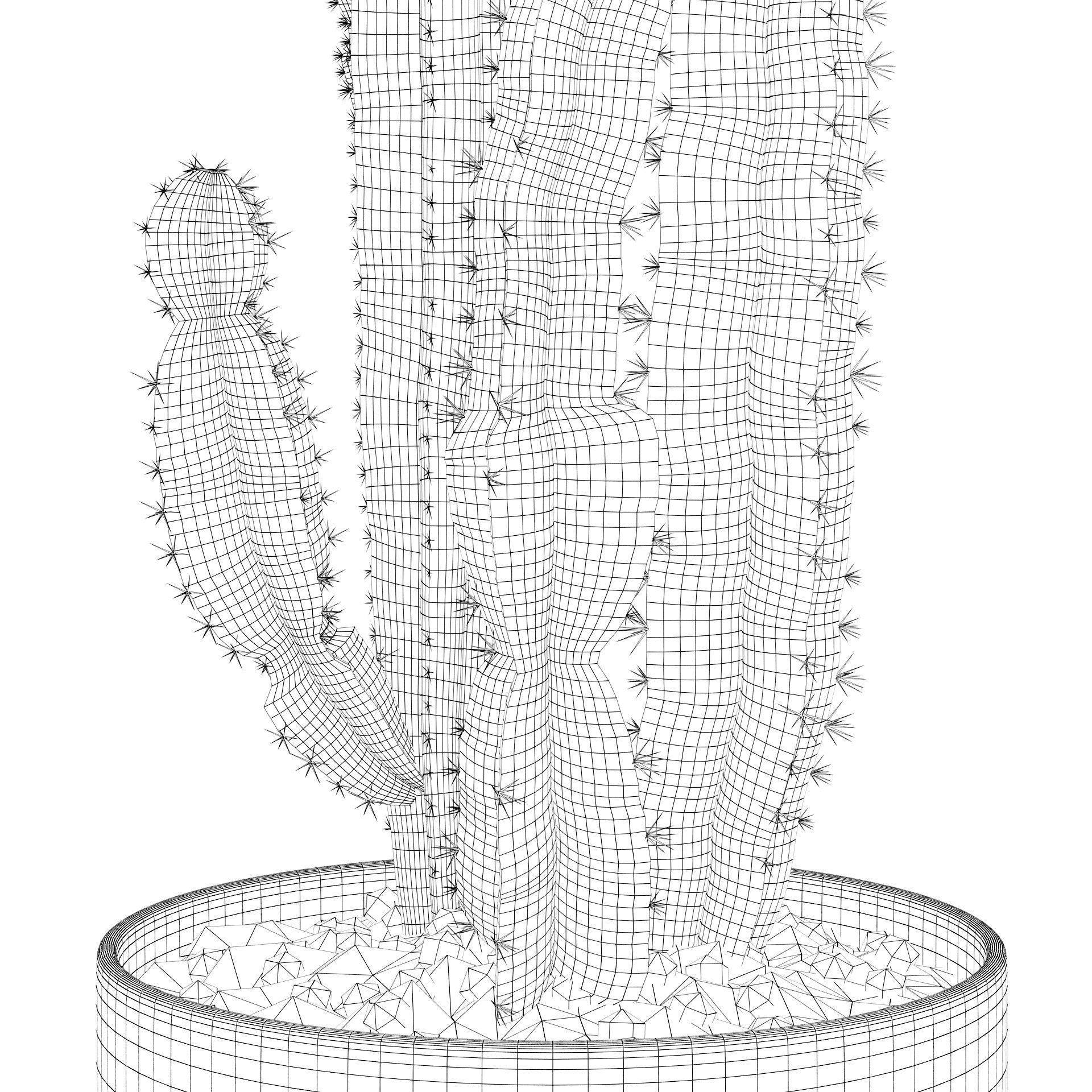 Euphorbia candelabrum 2 cactus 3D model_41