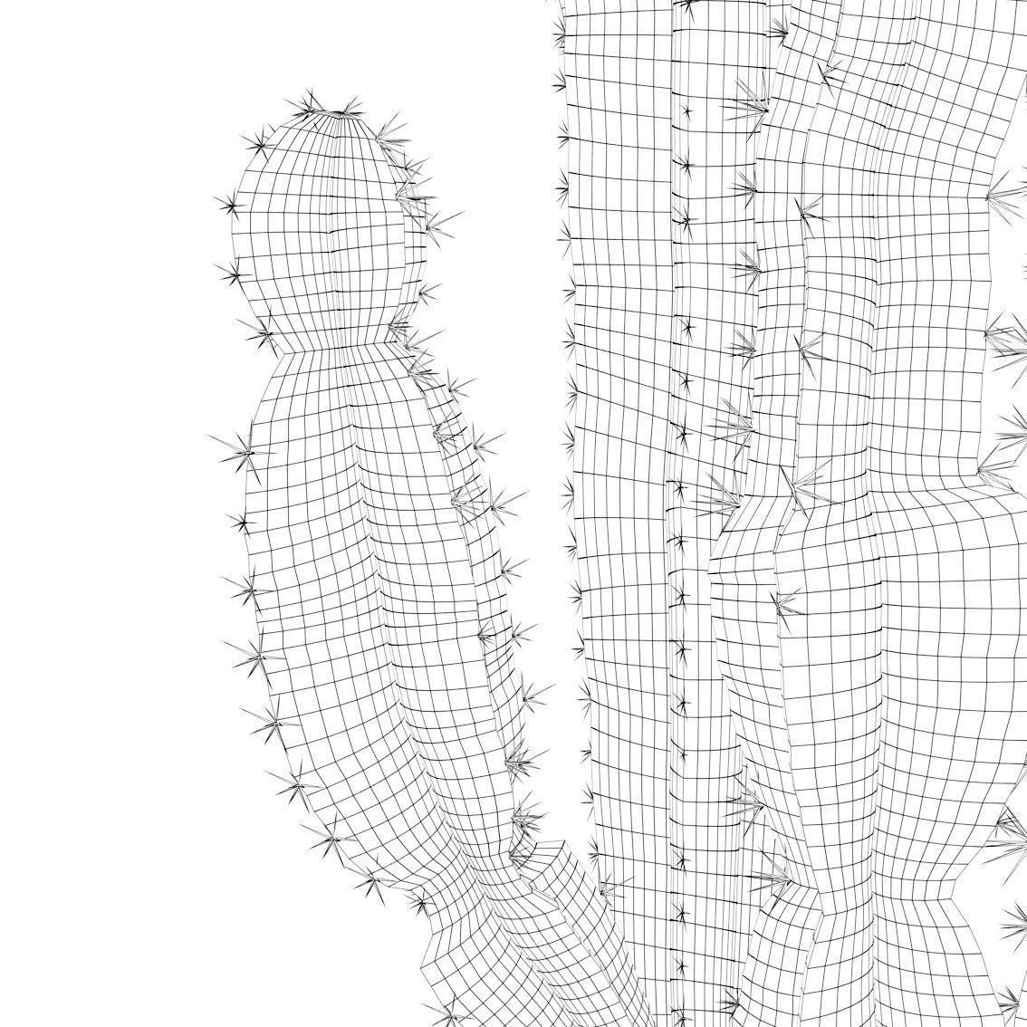 Euphorbia candelabrum 2 cactus 3D model_17