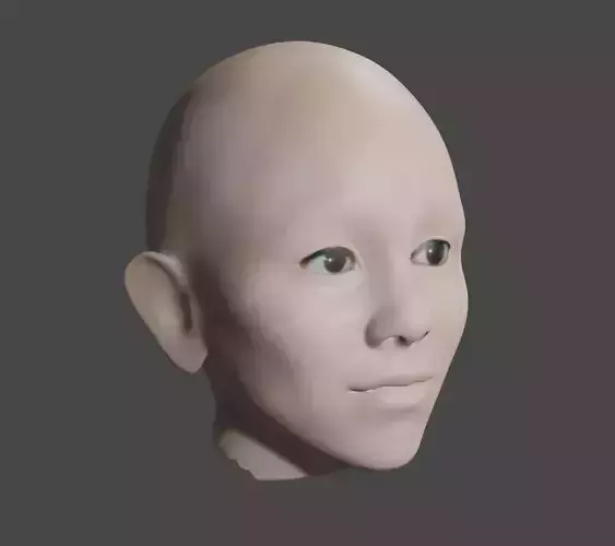 Face Model human head with eyes