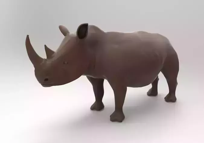 Rhino rhinoceros