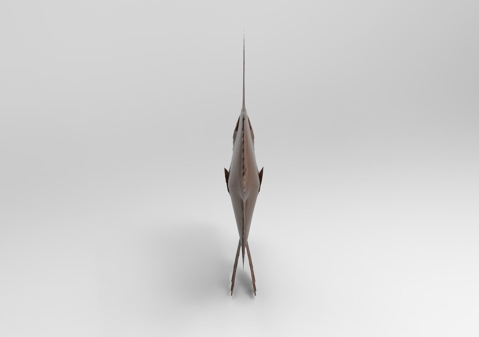 ship mod4 3D print model_5