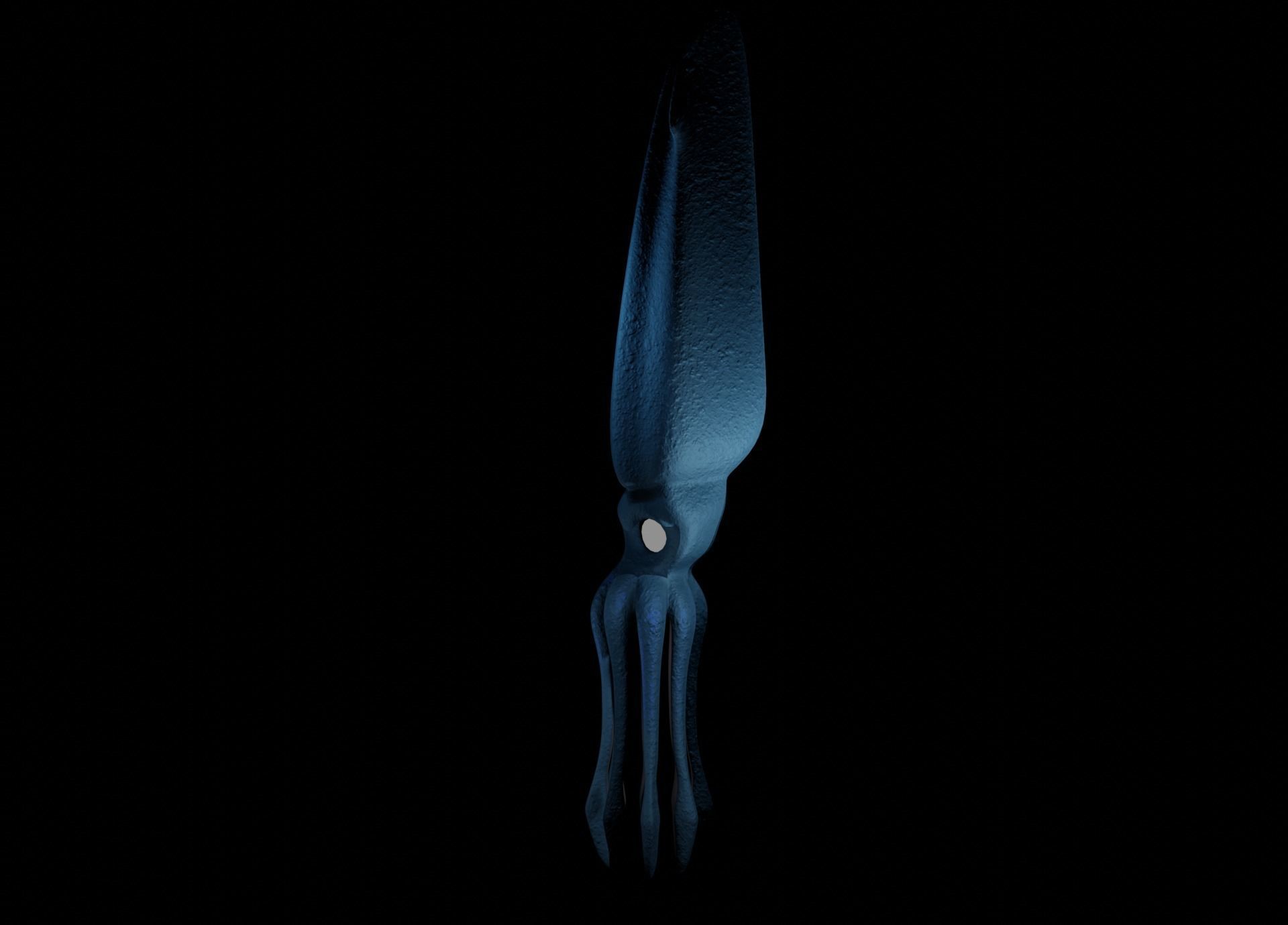 Giant Squid Low-poly 3D model_21