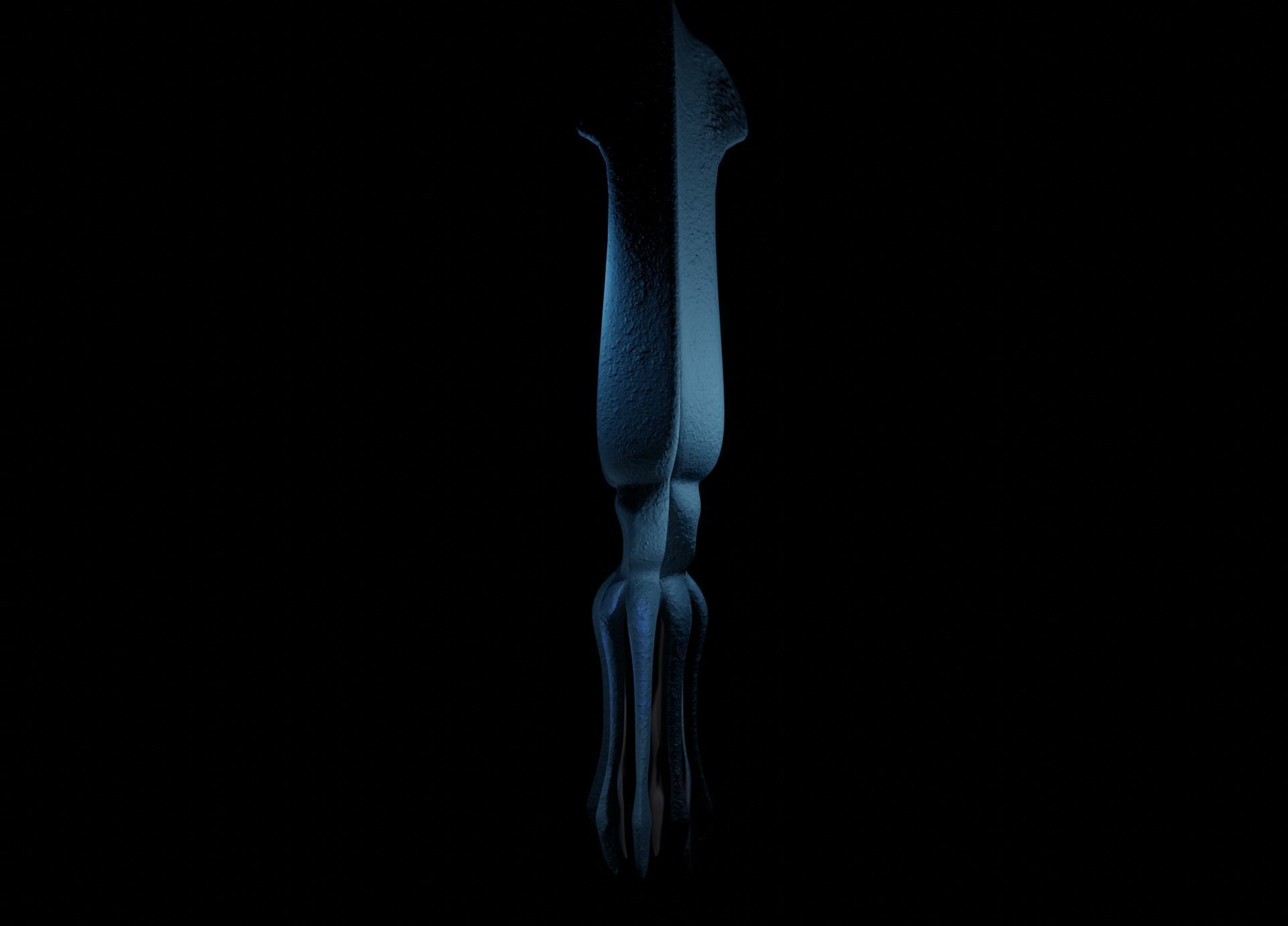 Giant Squid Low-poly 3D model_17