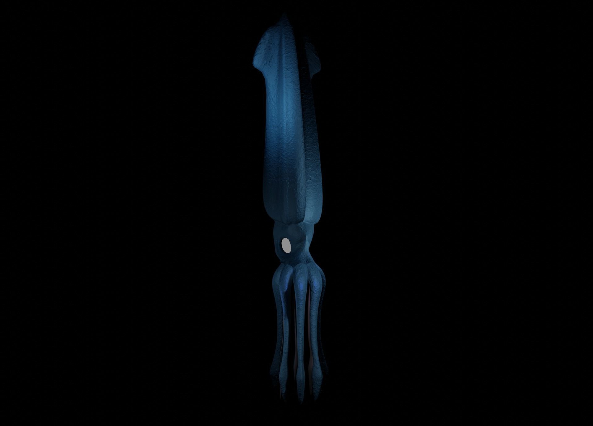 Giant Squid Low-poly 3D model_5