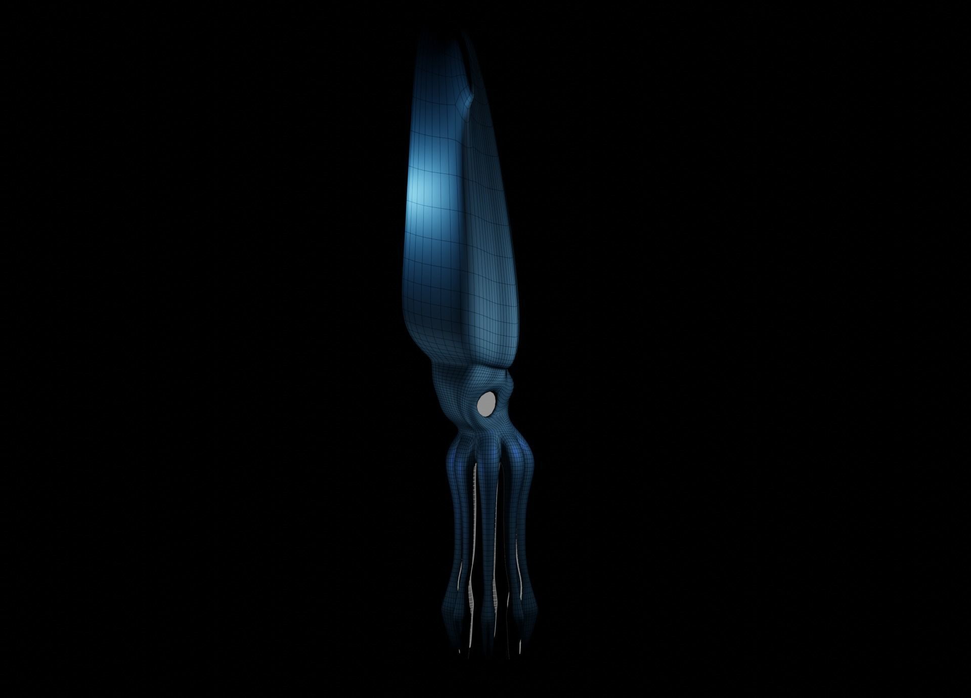 Giant Squid Low-poly 3D model_37