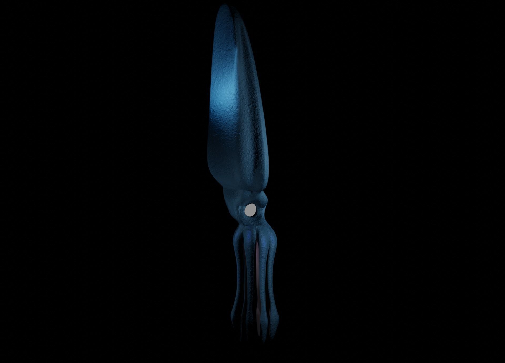 Giant Squid Low-poly 3D model_10