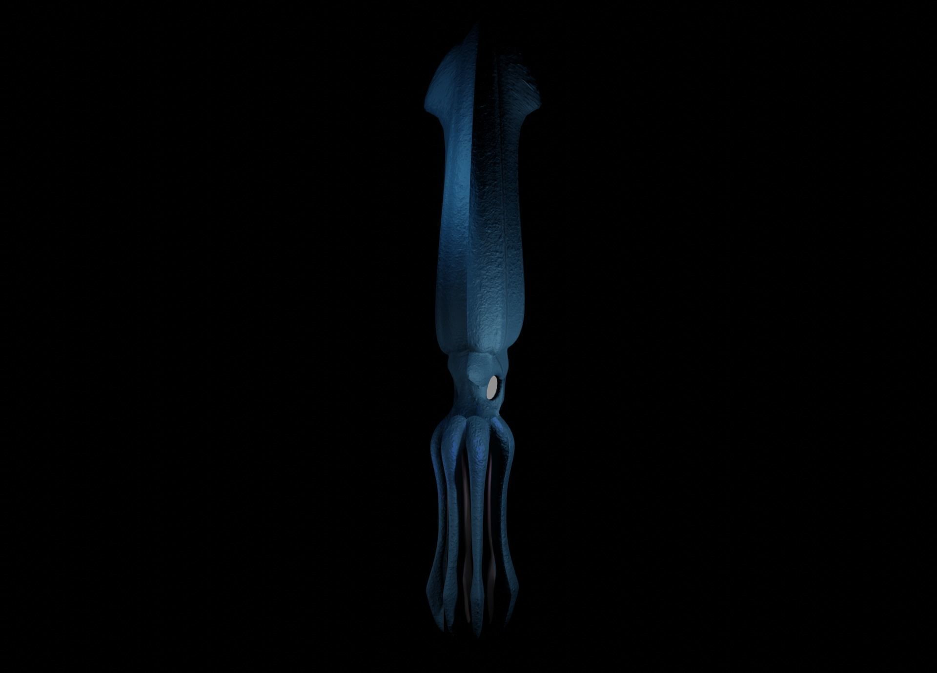 Giant Squid Low-poly 3D model_28