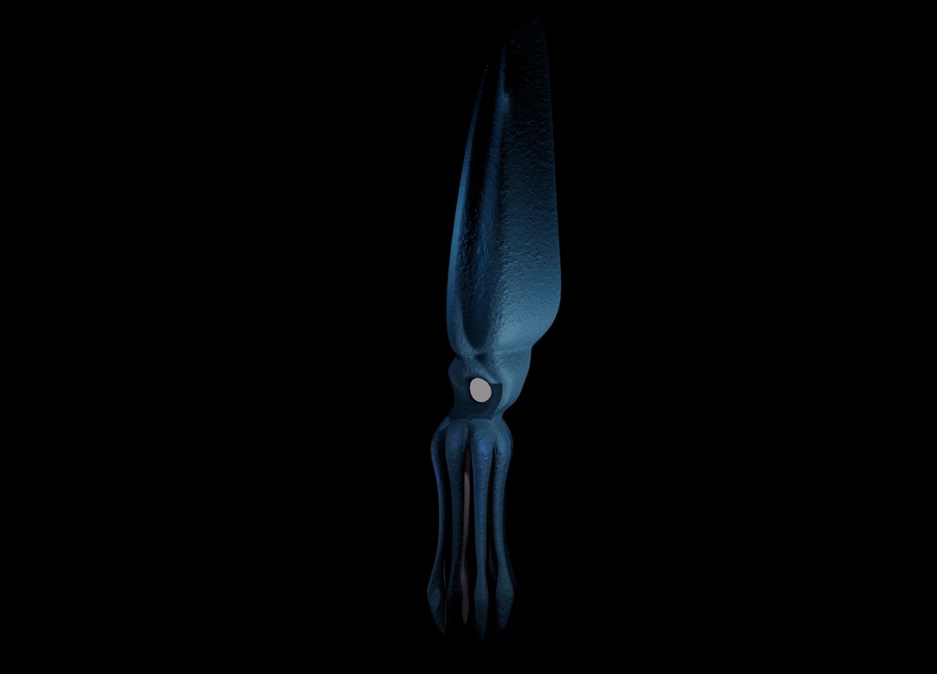 Giant Squid Low-poly 3D model_22