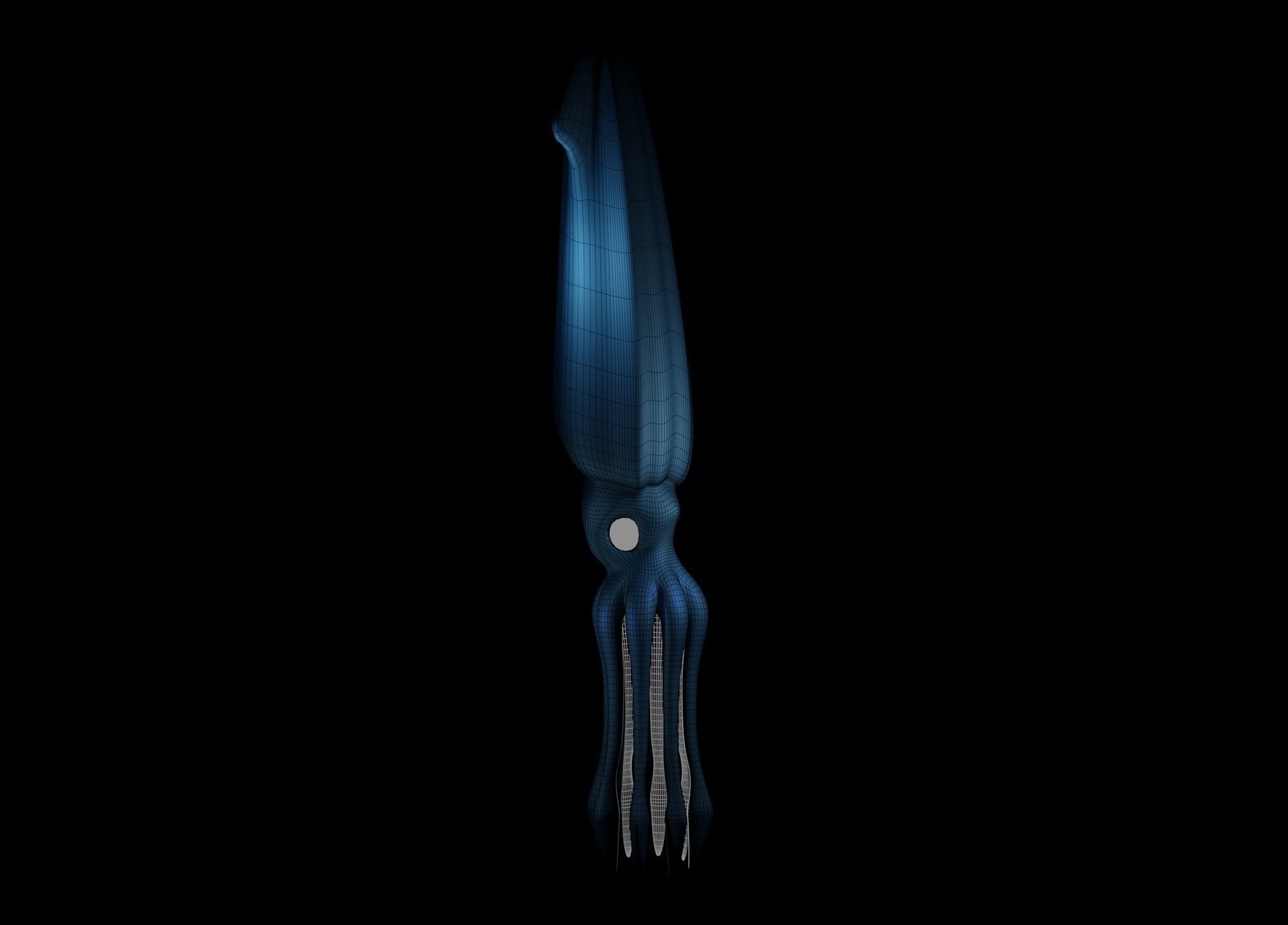 Giant Squid Low-poly 3D model_33
