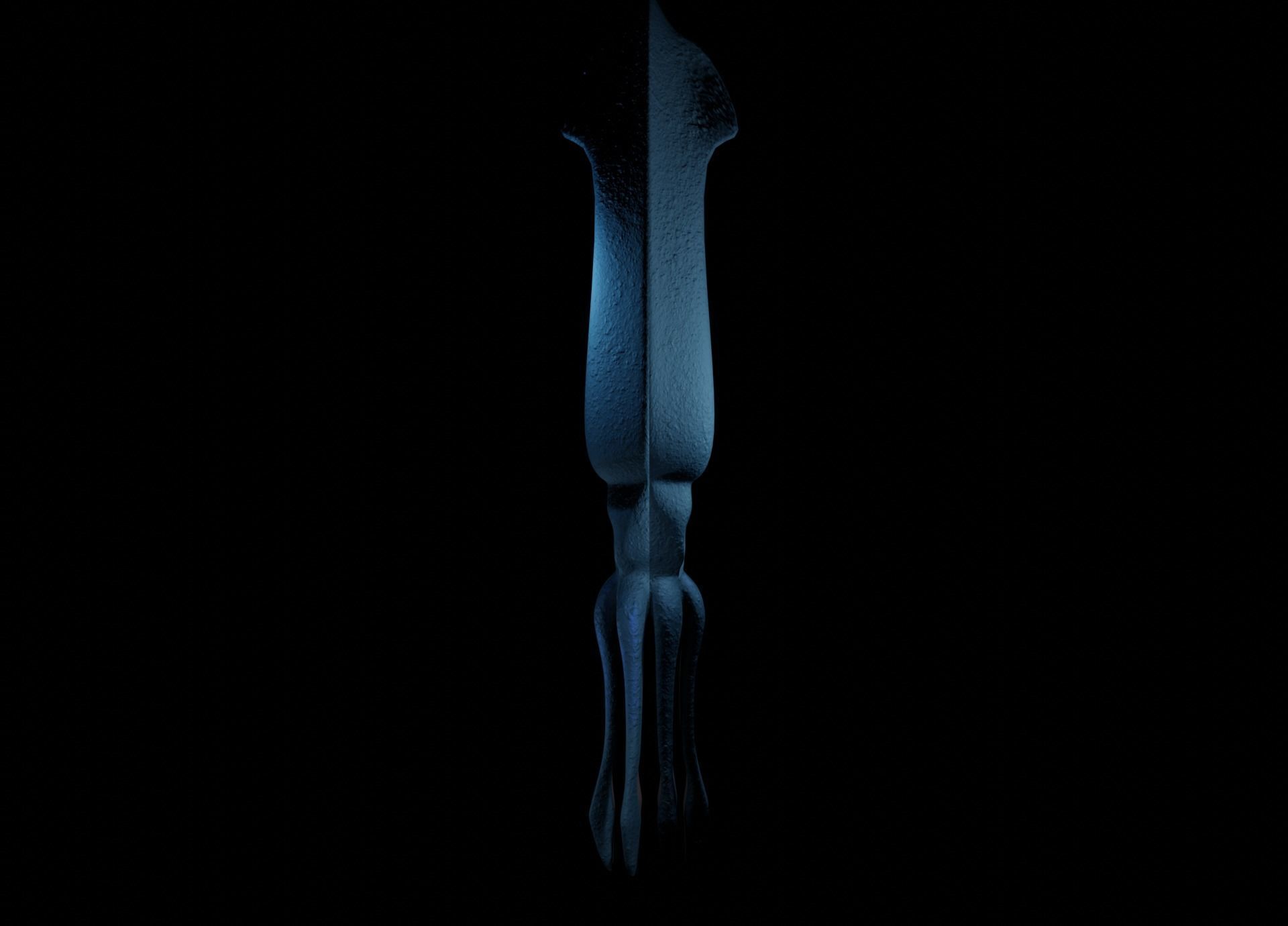 Giant Squid Low-poly 3D model_16