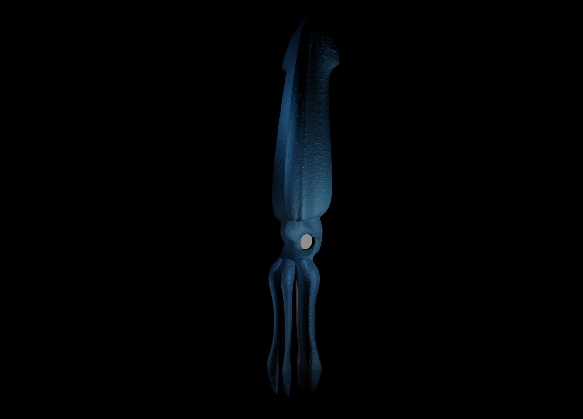 Giant Squid Low-poly 3D model_26