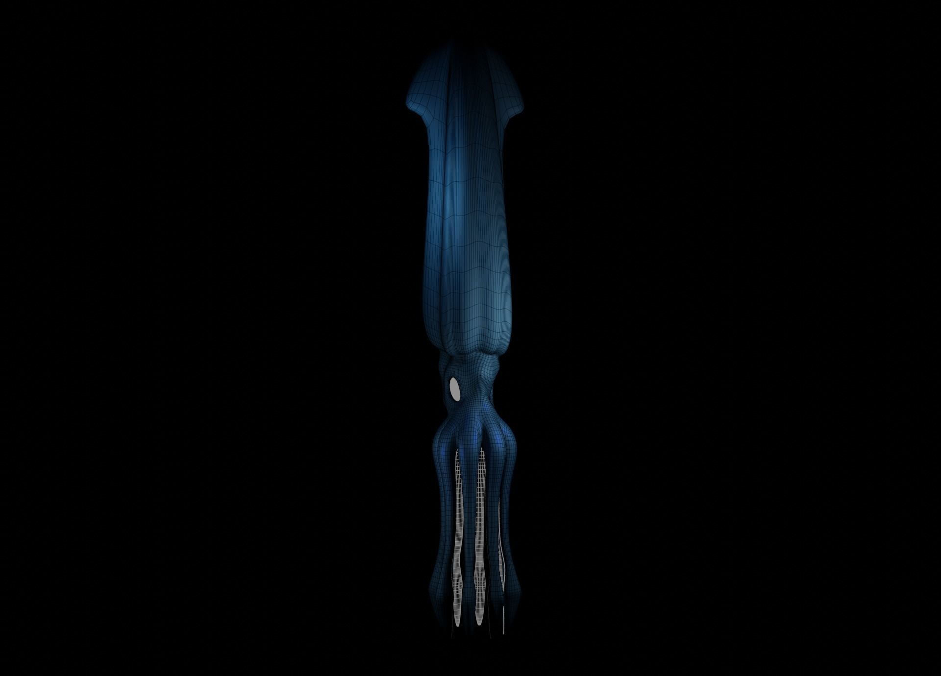Giant Squid Low-poly 3D model_30