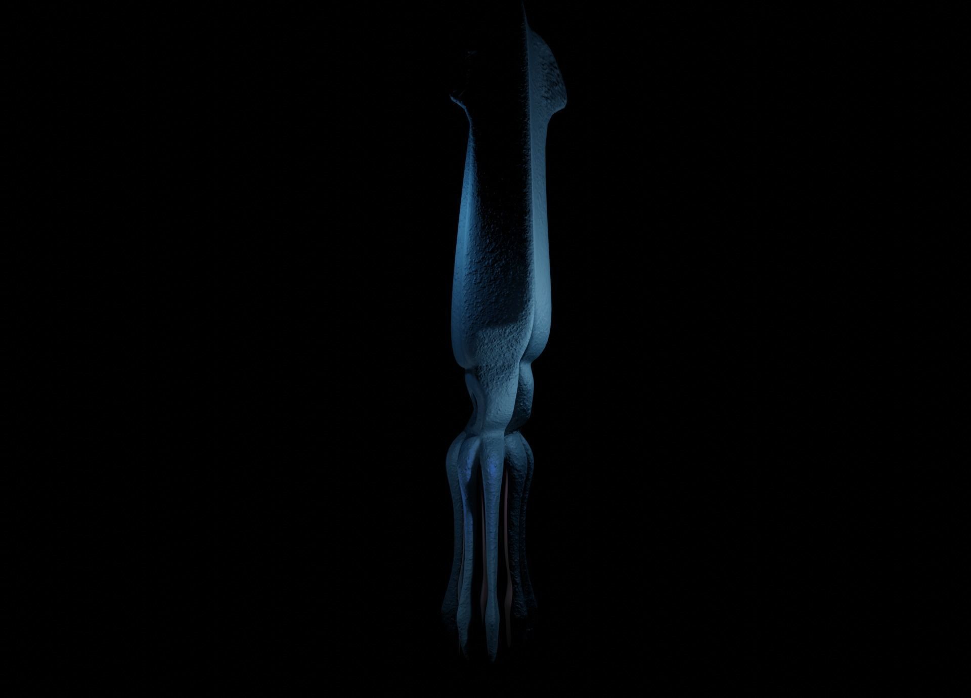 Giant Squid Low-poly 3D model_18