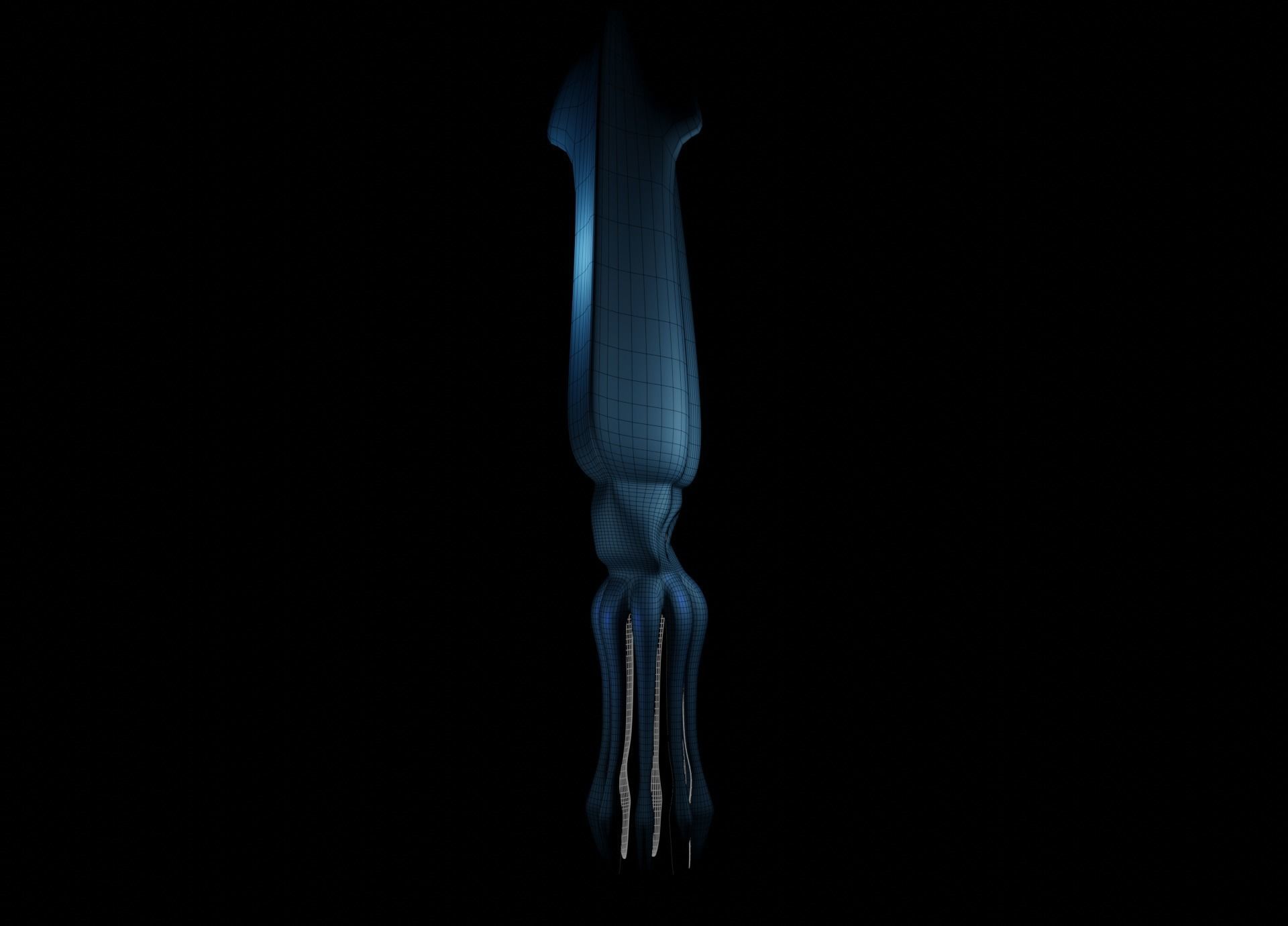 Giant Squid Low-poly 3D model_40