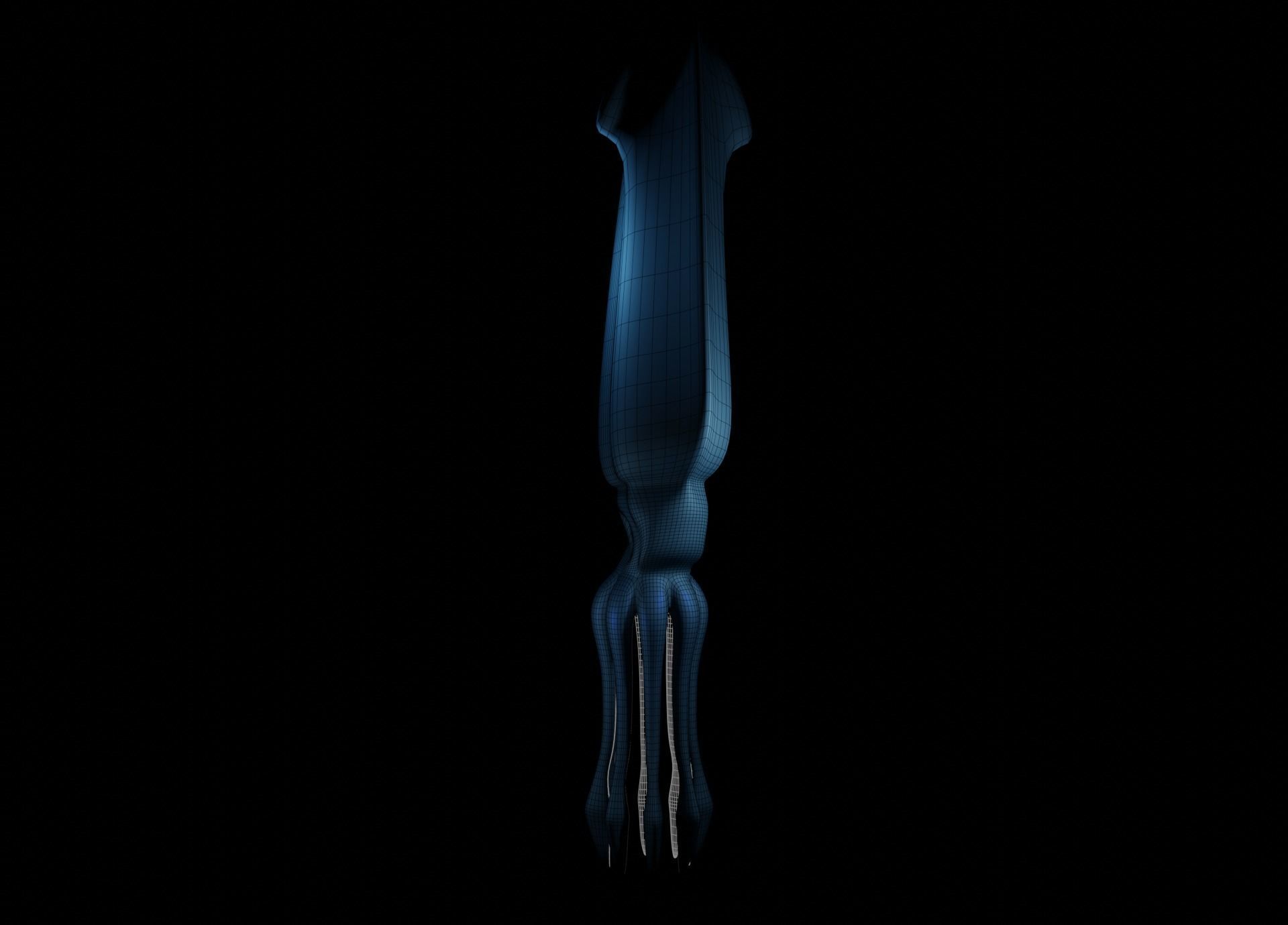 Giant Squid Low-poly 3D model_44