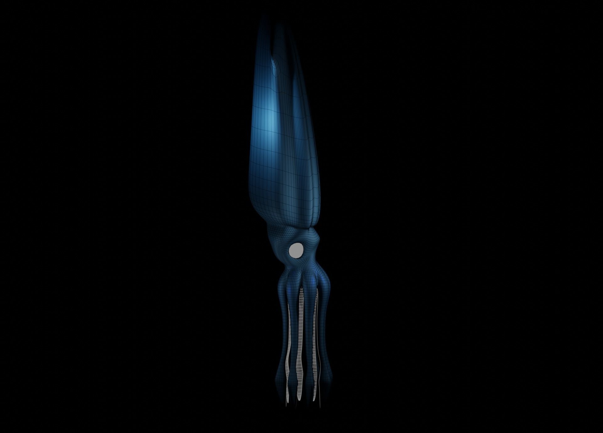 Giant Squid Low-poly 3D model_35
