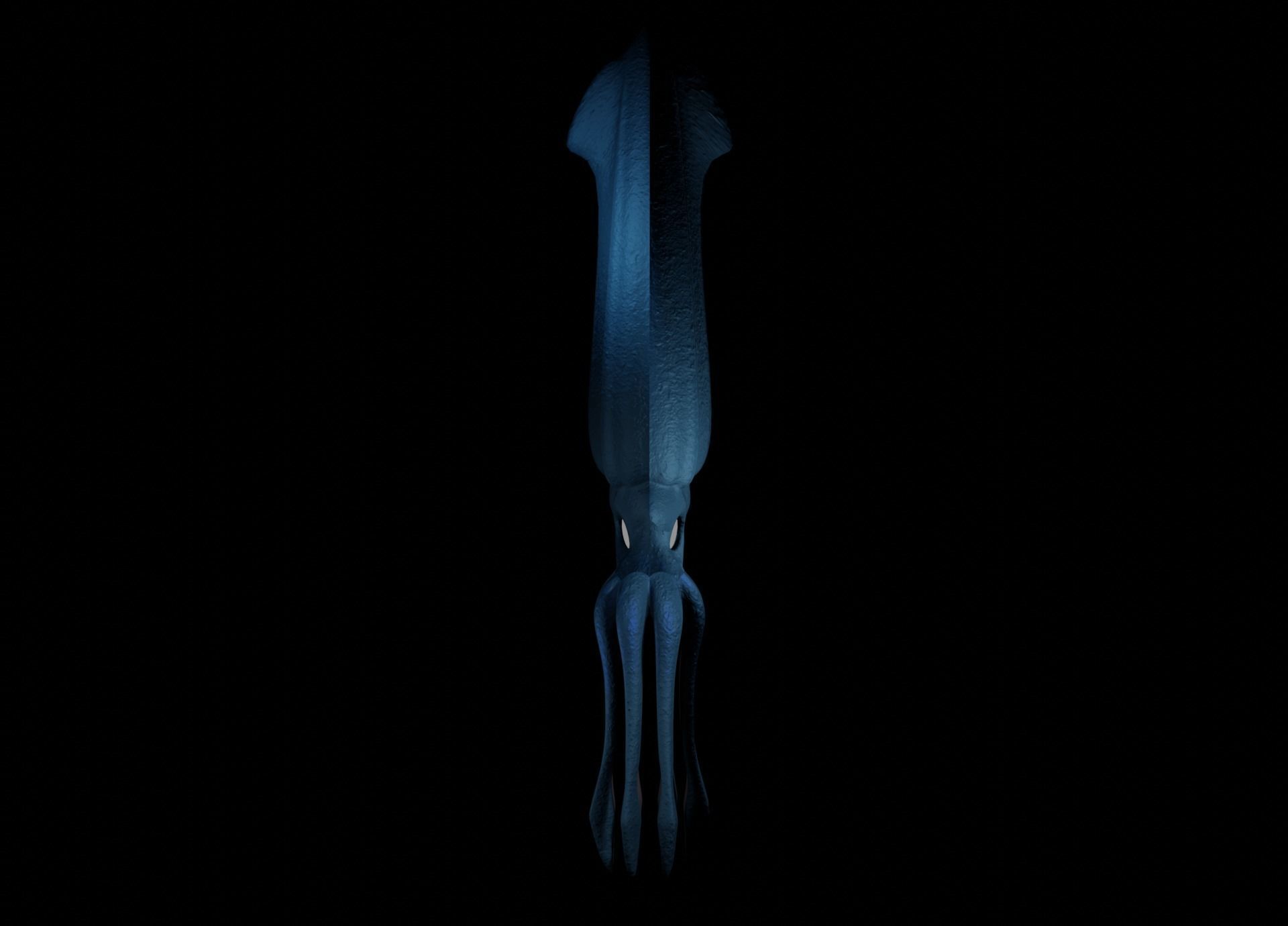 Giant Squid Low-poly 3D model_3