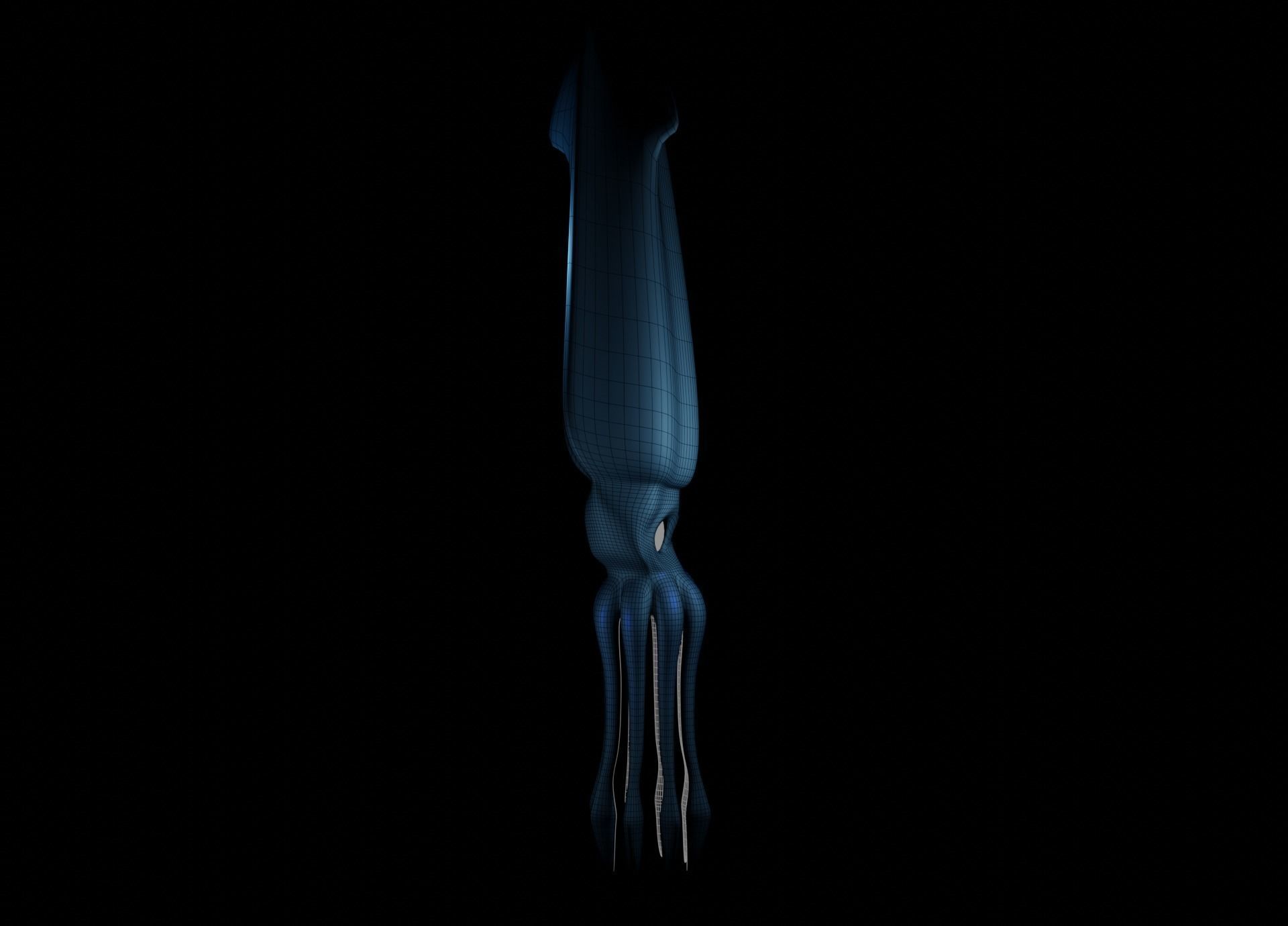Giant Squid Low-poly 3D model_39