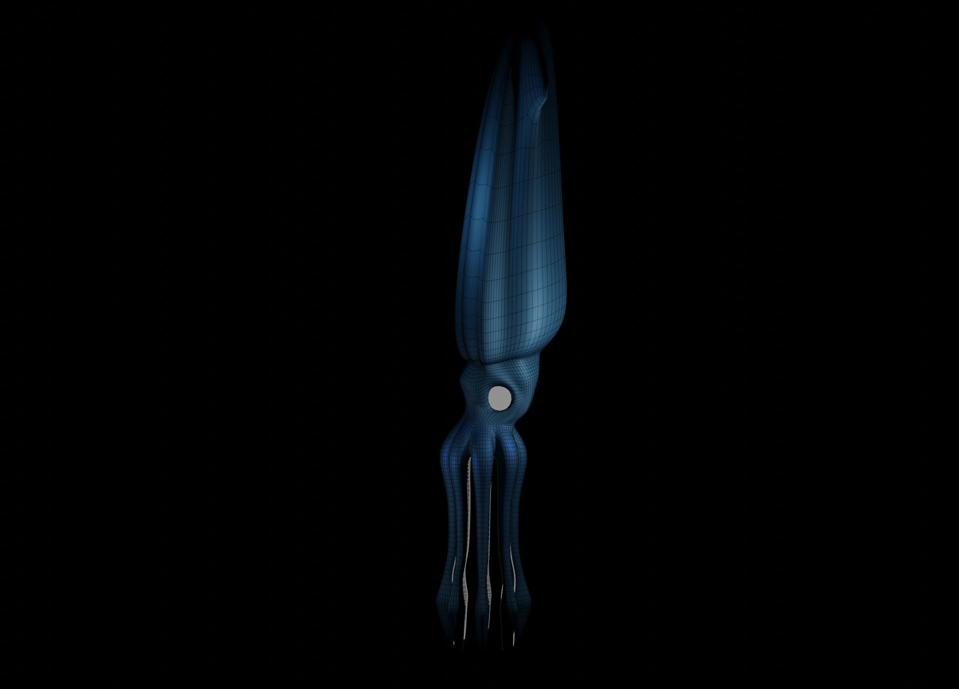 Giant Squid Low-poly 3D model_50
