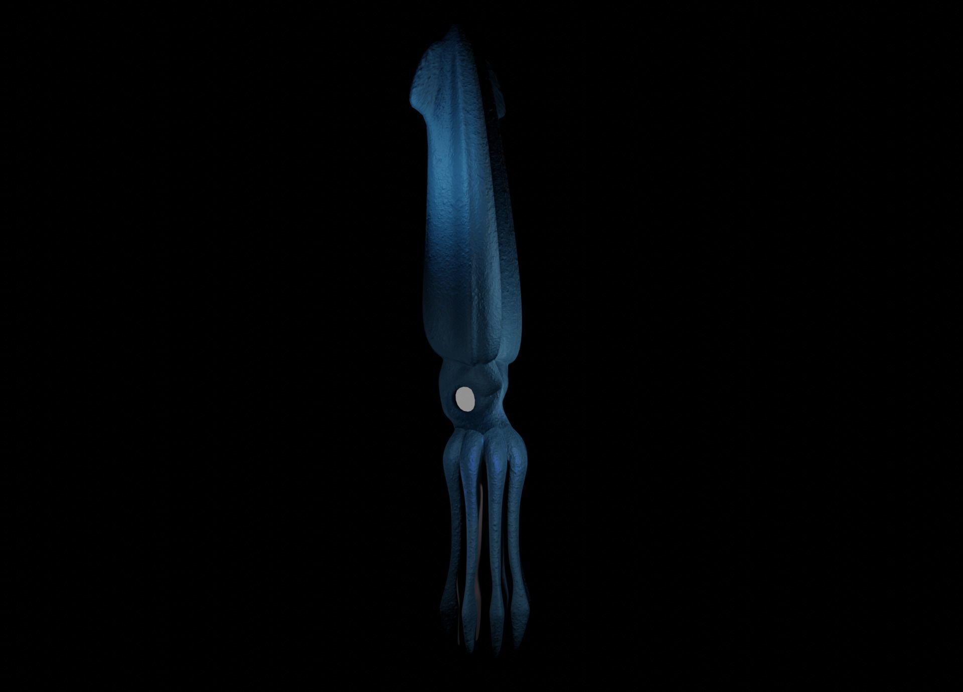 Giant Squid Low-poly 3D model_6
