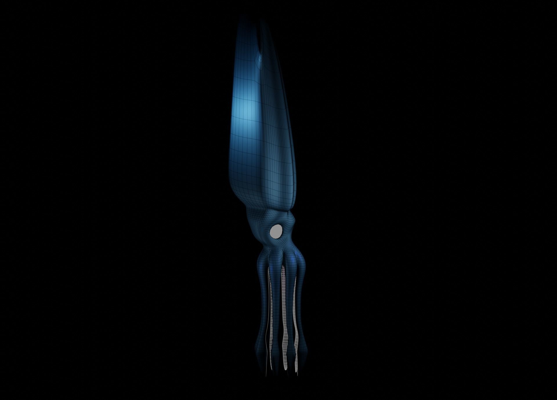 Giant Squid Low-poly 3D model_36