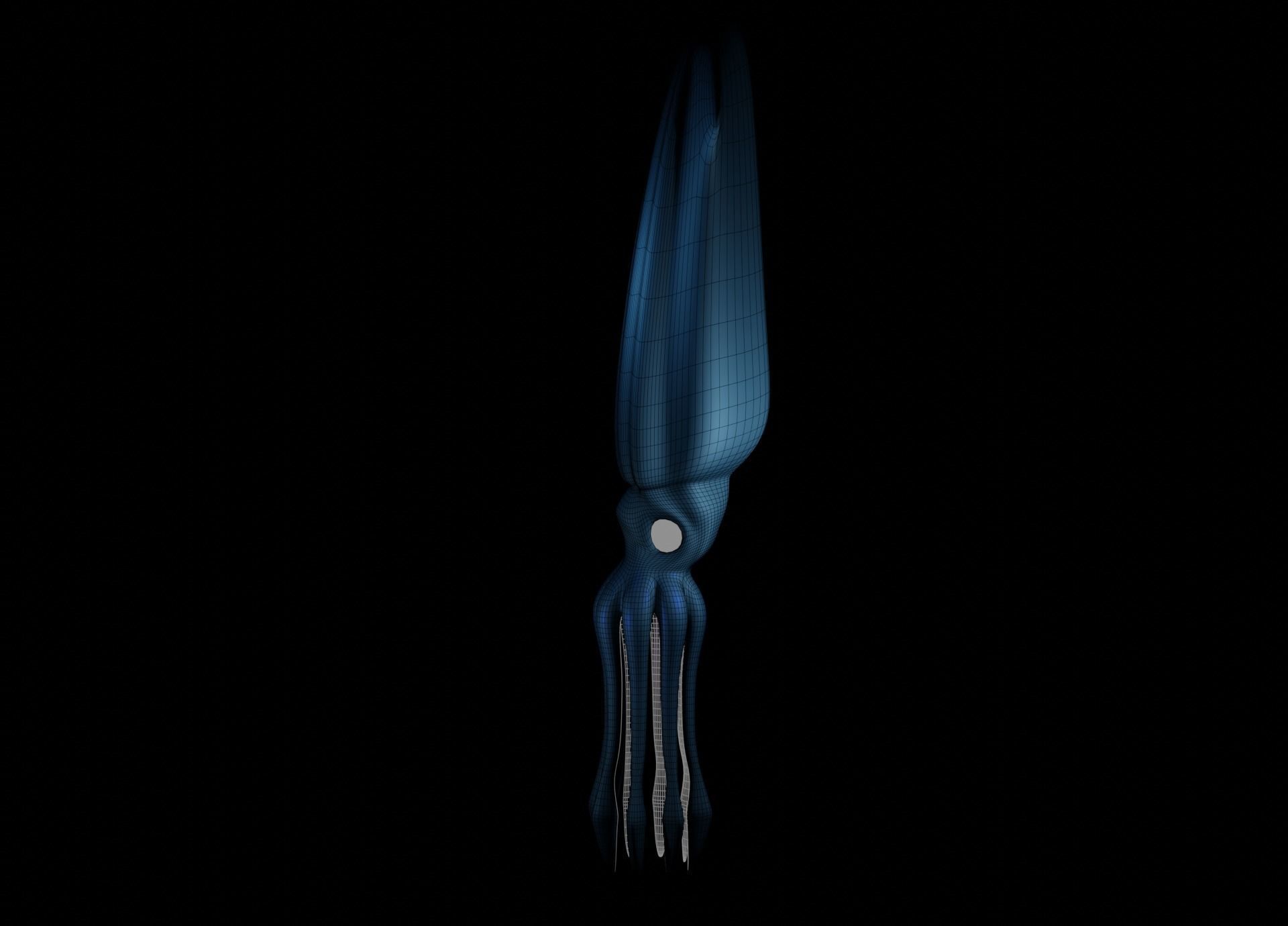Giant Squid Low-poly 3D model_49