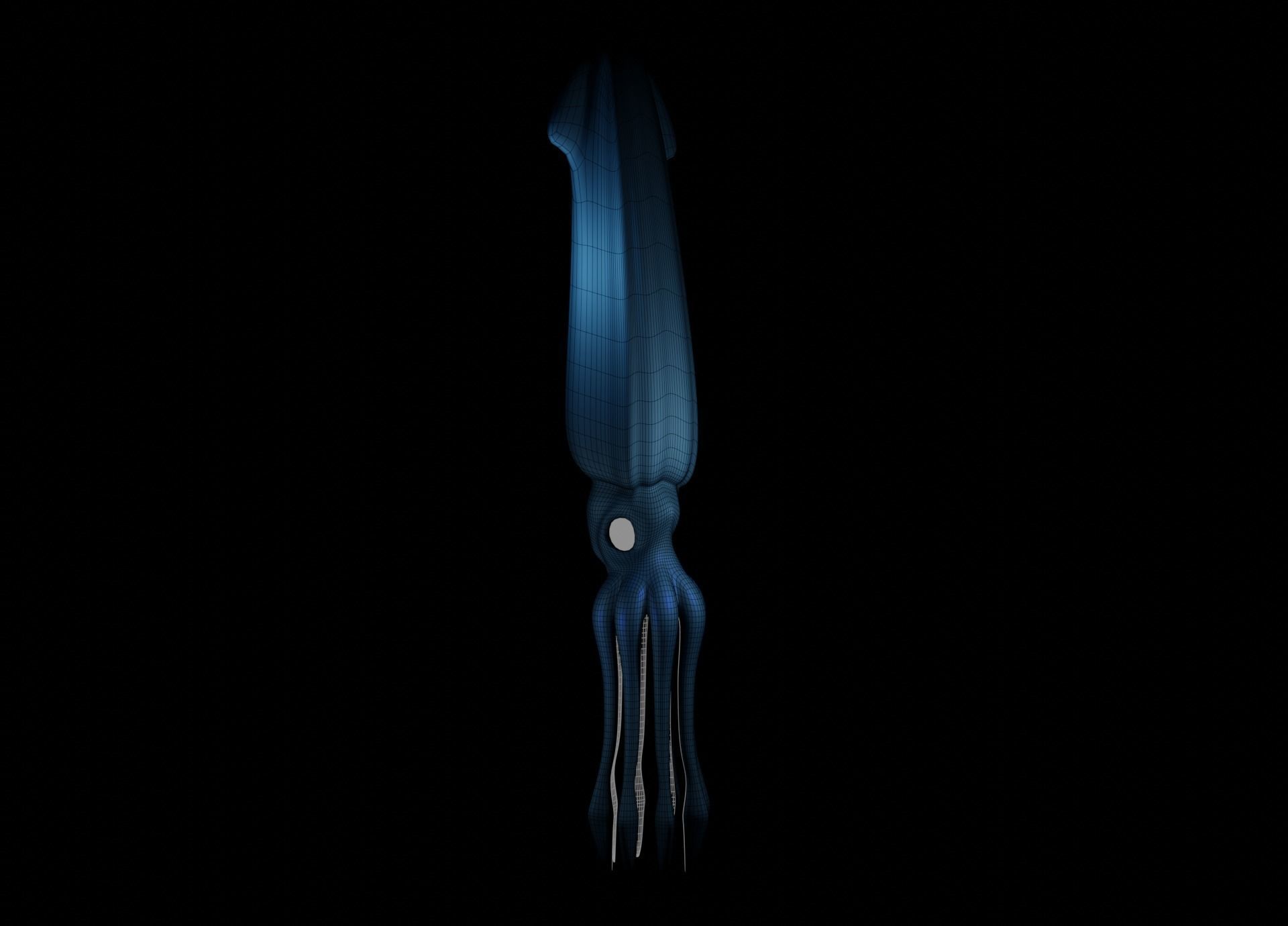 Giant Squid Low-poly 3D model_32
