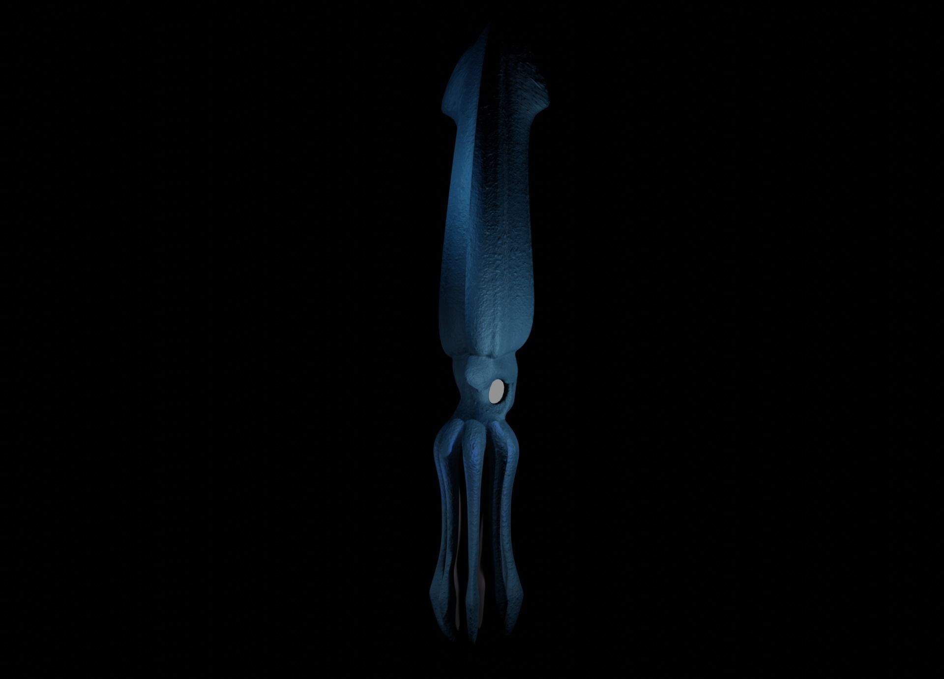 Giant Squid Low-poly 3D model_27