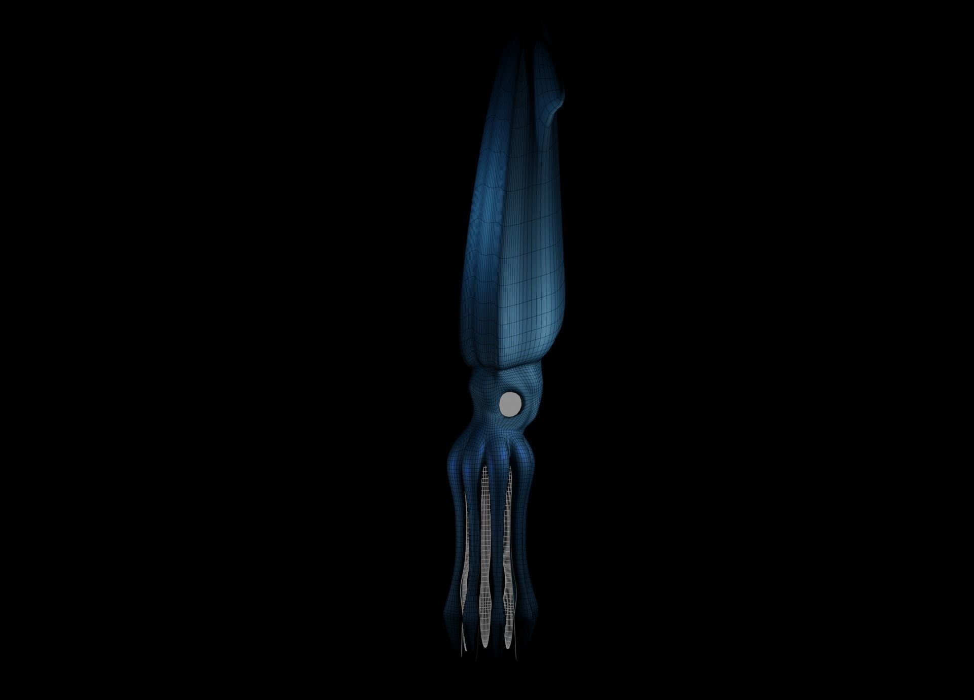Giant Squid Low-poly 3D model_51