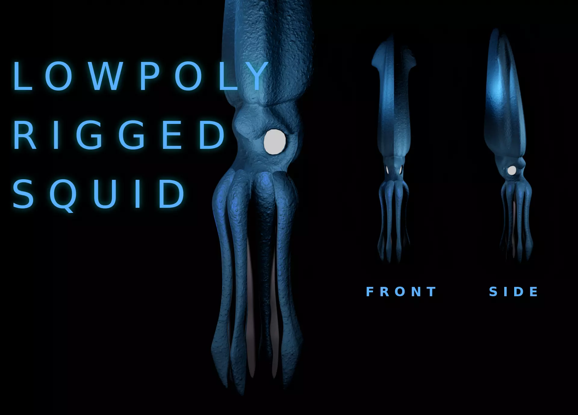 Giant Squid Low-poly 3D model_0