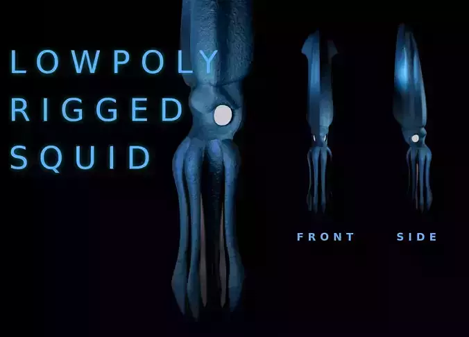 Giant Squid Low-poly 3D model Giant Squid Low-poly 3D model