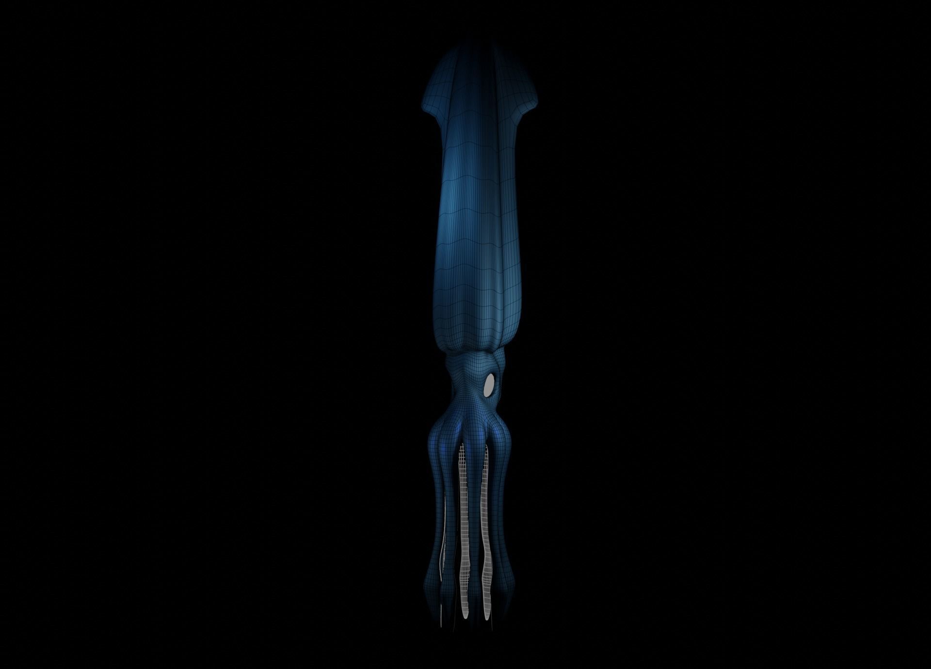 Giant Squid Low-poly 3D model_54