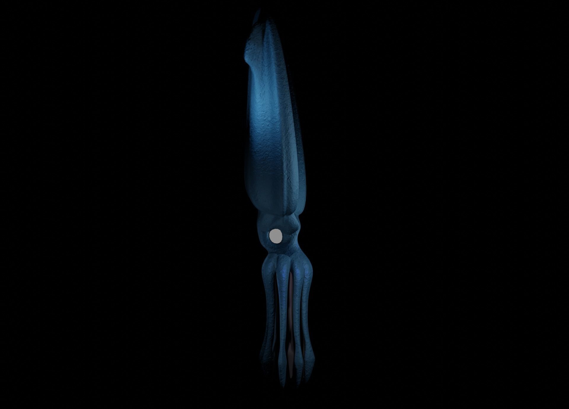 Giant Squid Low-poly 3D model_7