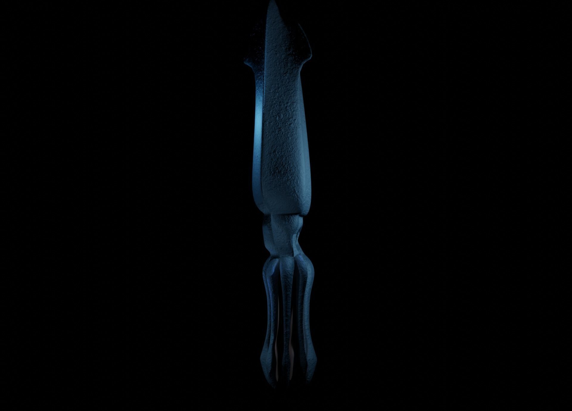 Giant Squid Low-poly 3D model_14