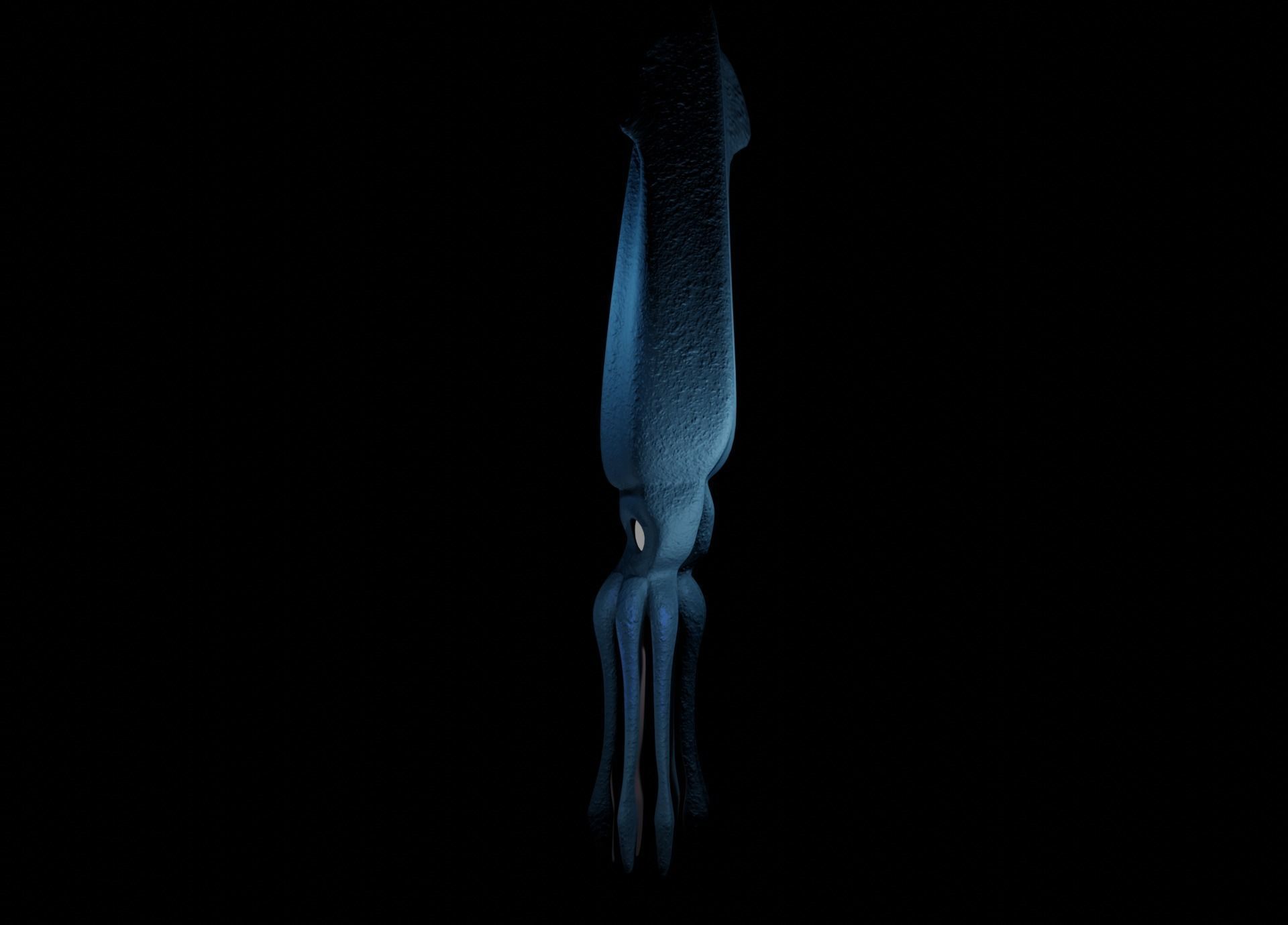 Giant Squid Low-poly 3D model_19
