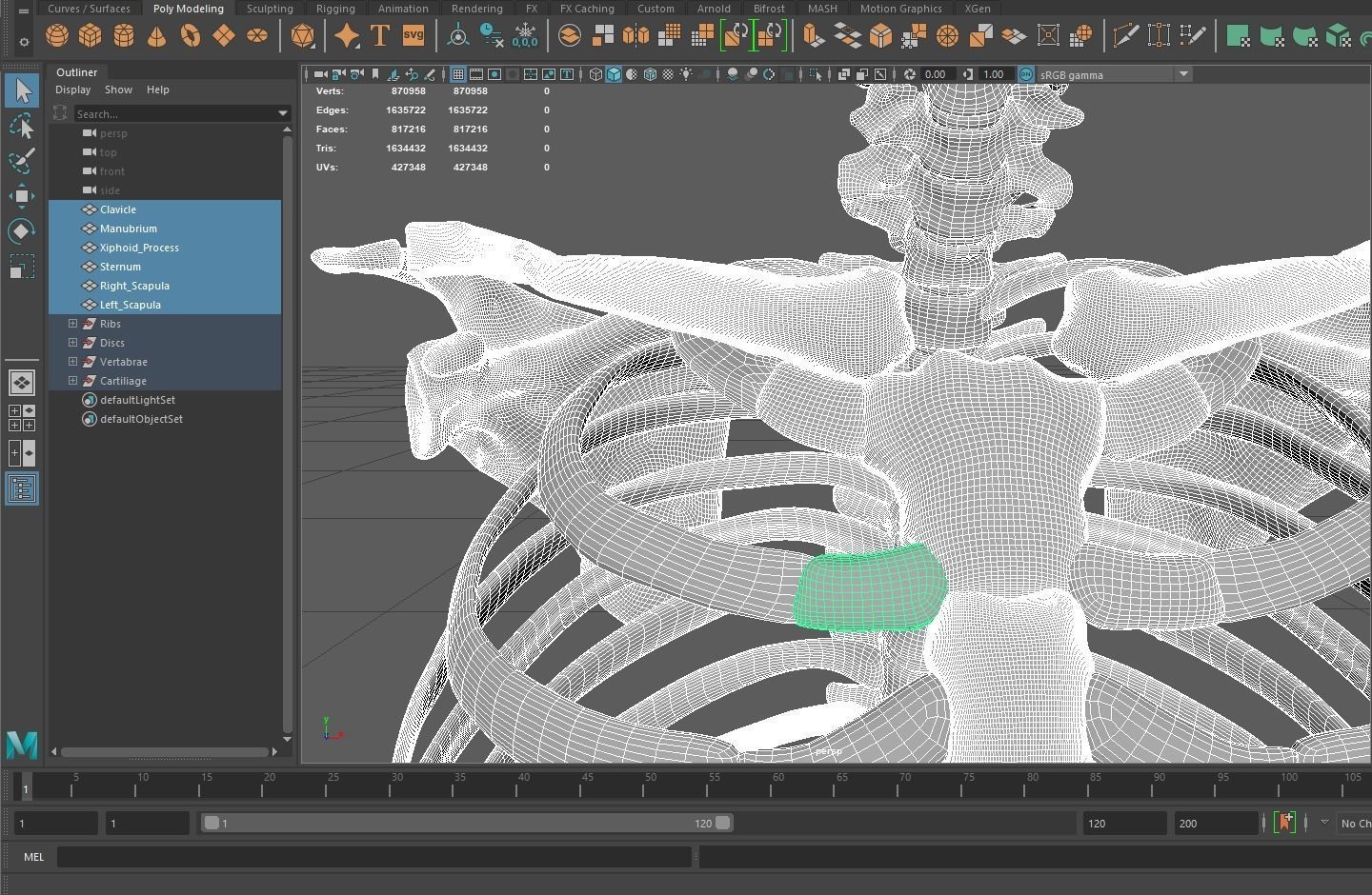Skeleton - Ribcage 3D model_4