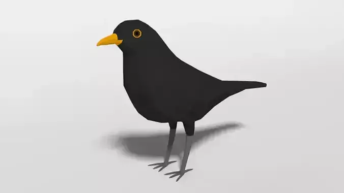Low Poly Cartoon Blackbird Low-poly 3D model