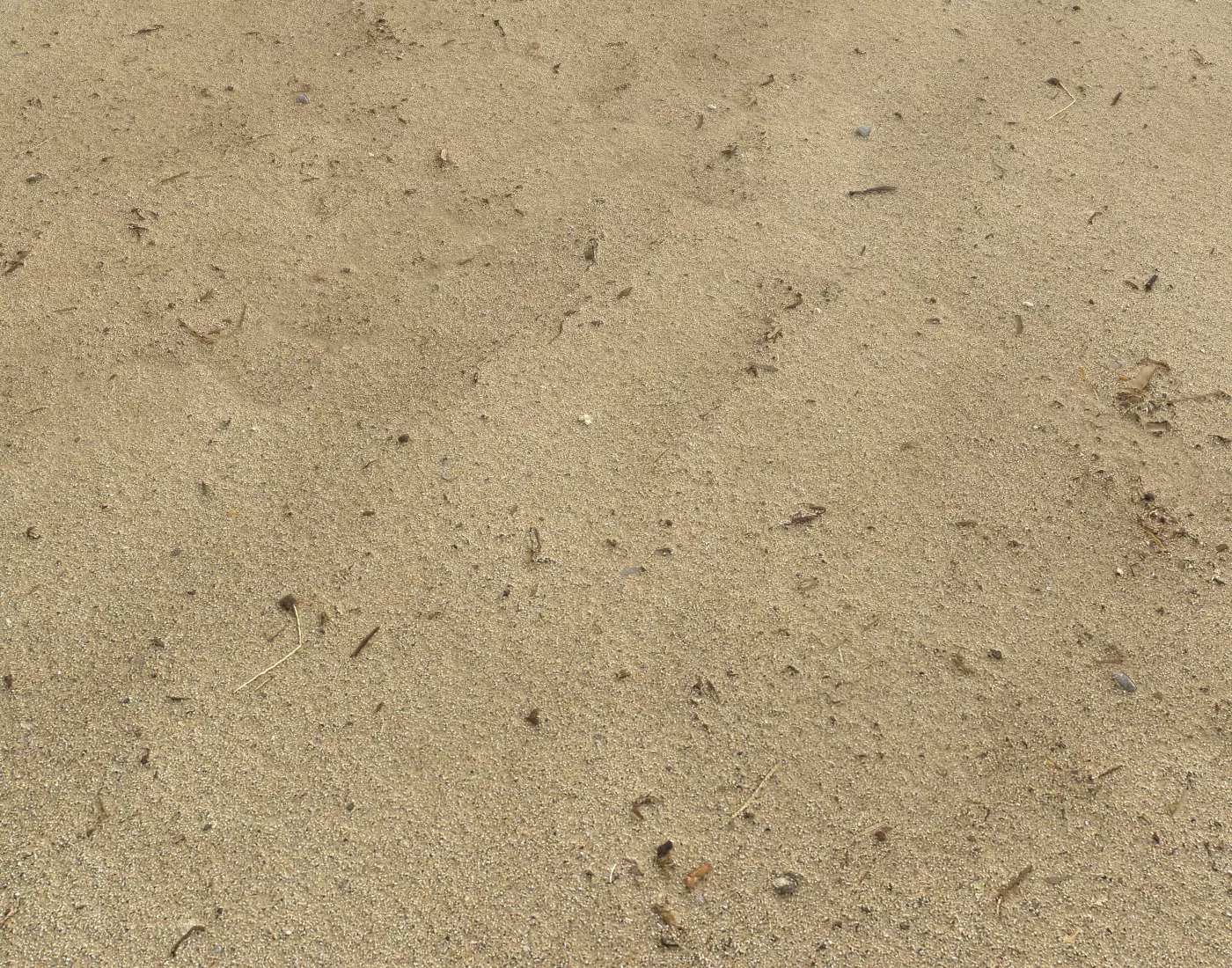 Sand beach terrain PBR pack 7 Texture