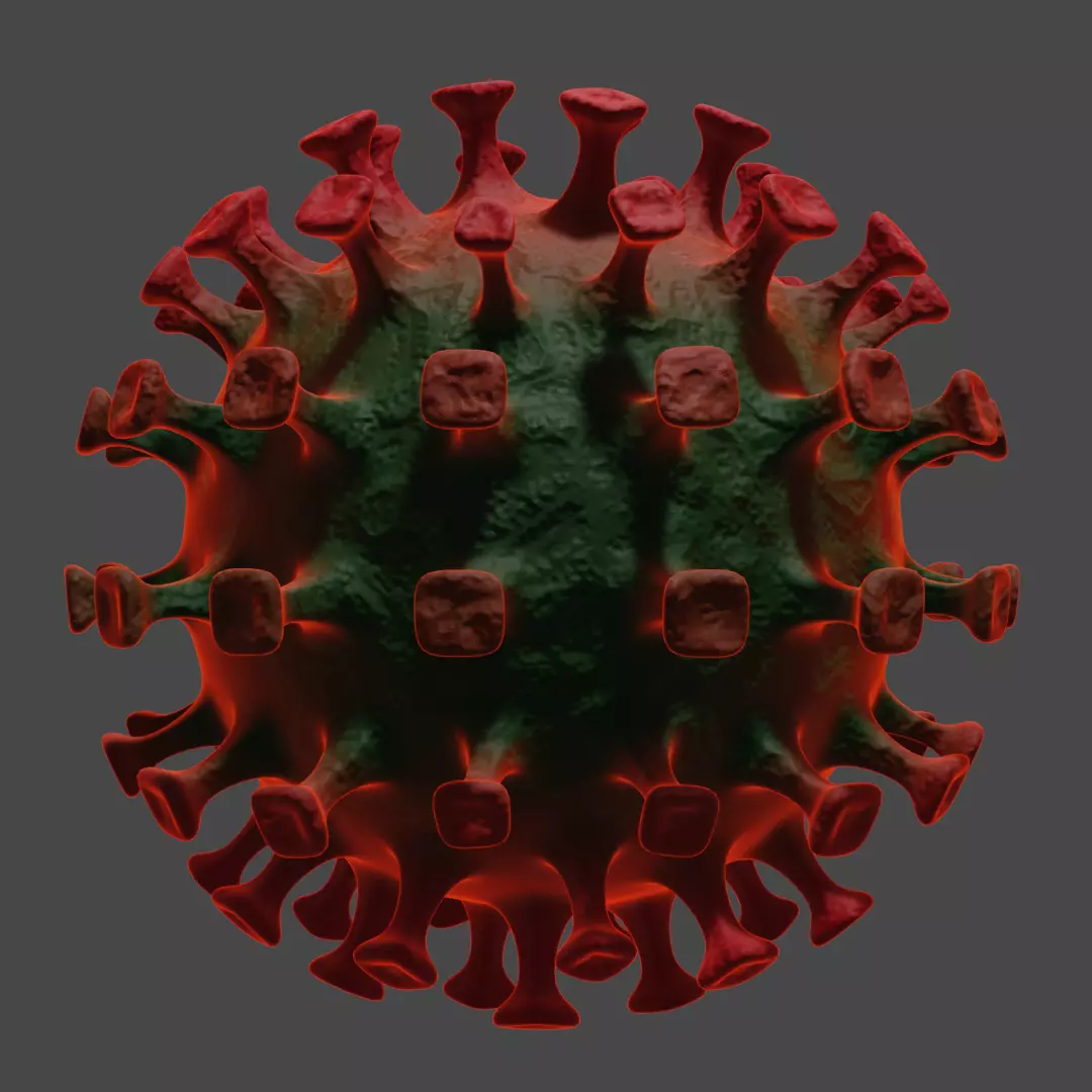 Coronavirus SARS-CoV2 CoVid-19 Corona Virus Free low-poly 3D model_0