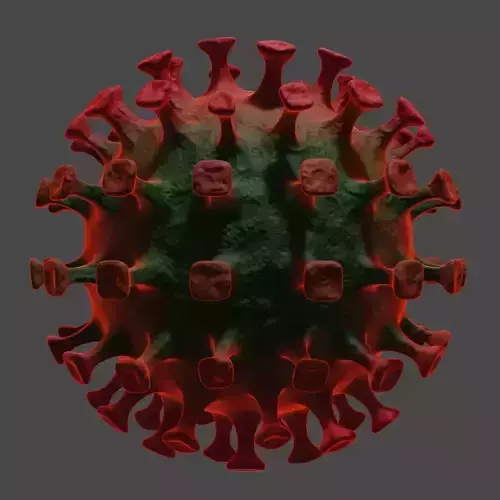 Coronavirus SARS-CoV2 CoVid-19 Corona Virus 