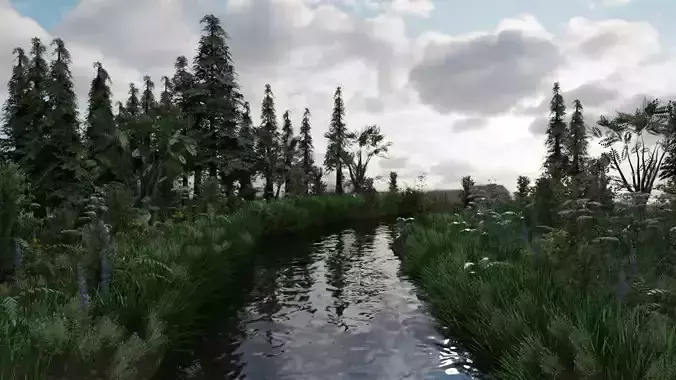 Scene river in forest